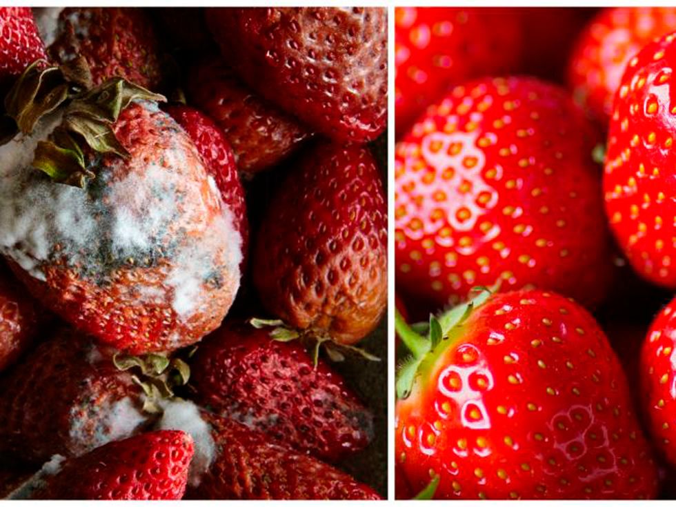 Natural foods, Strawberry, Strawberries, Fruit, Food, Superfood, Accessory fruit, Plant, Superfruit, Frutti di bosco, 