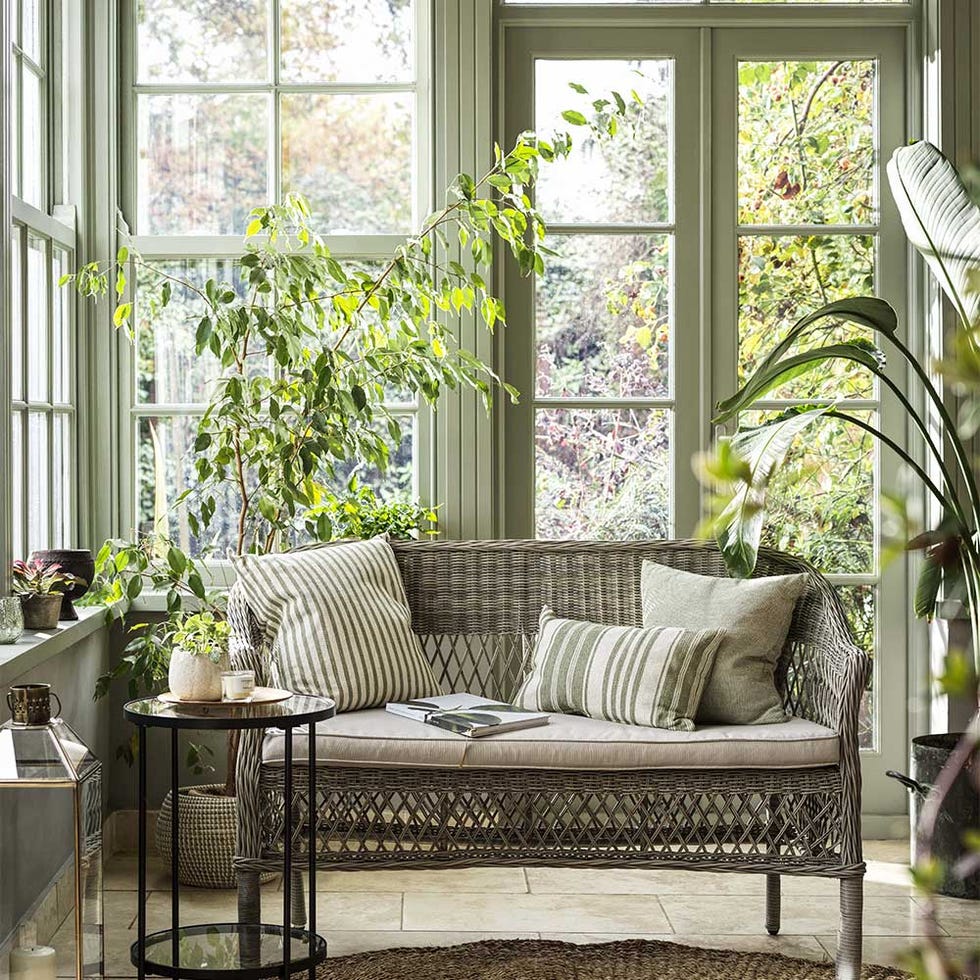 conservatory plants