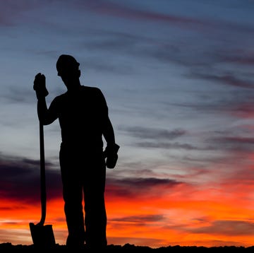 Construction Worker and Shovel construction worker and shovel