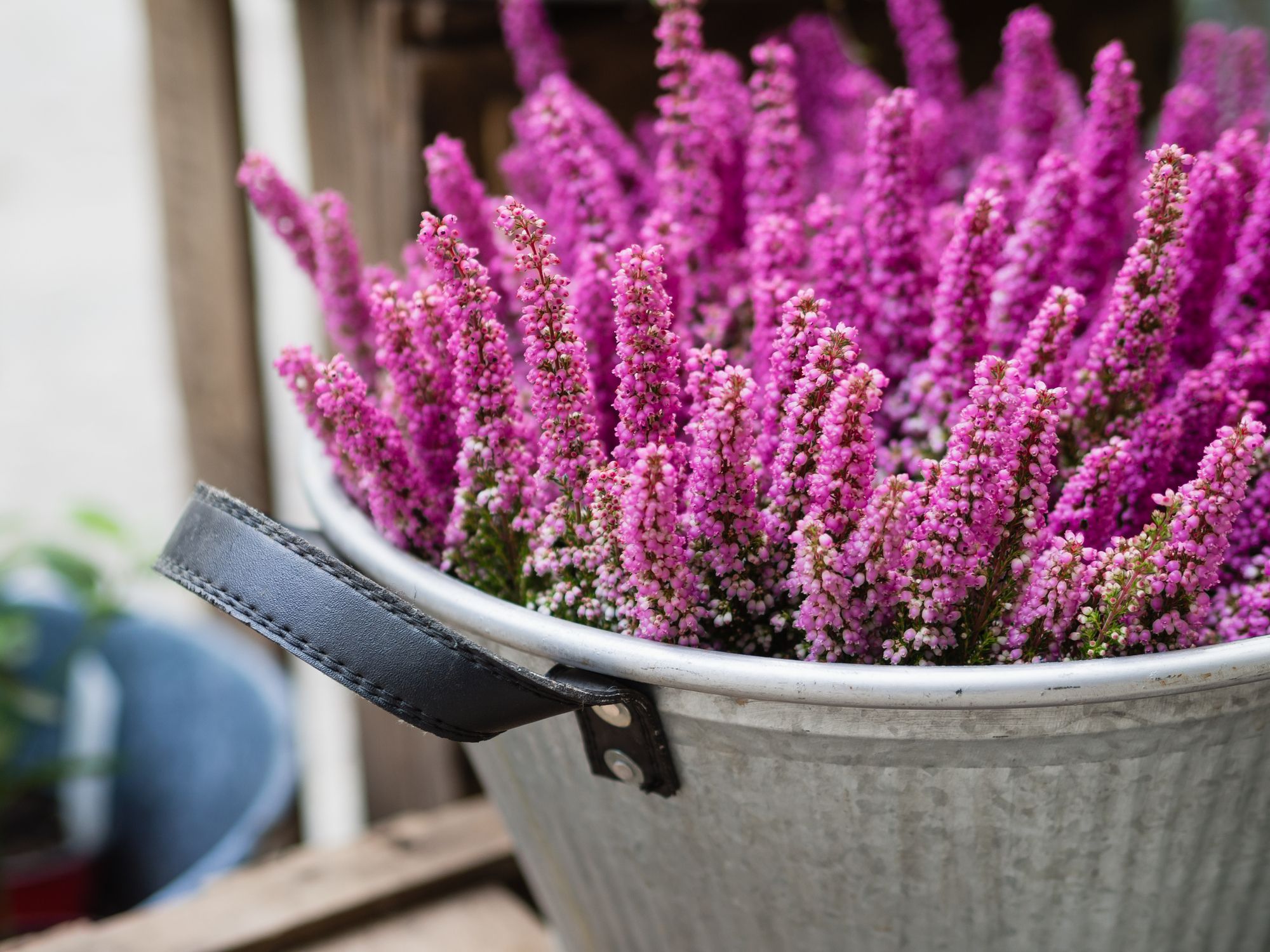 How To Make A Woolly Plant Pot Cover