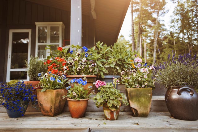 Container gardening