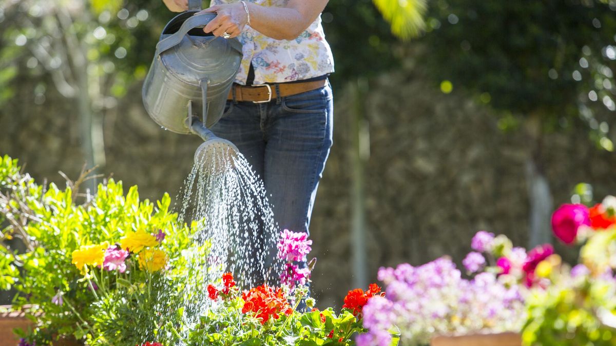 woman watering flowering container garden on a sunny day