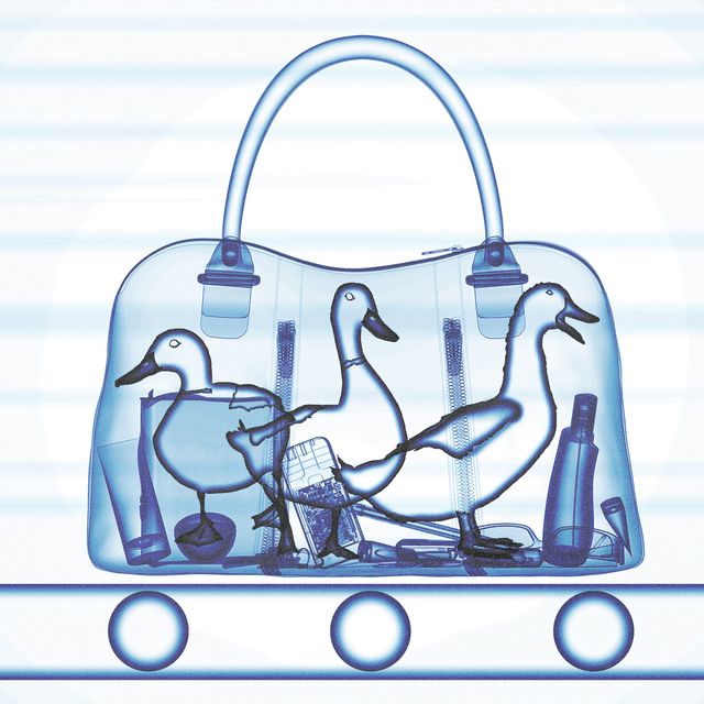 Blue, Bag, Handbag, Font, Fashion accessory, Shoulder bag, Luggage and bags, Illustration, 
