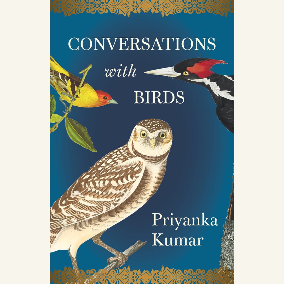 conversations with birds, priyanka kumar, november 2022, new book releases