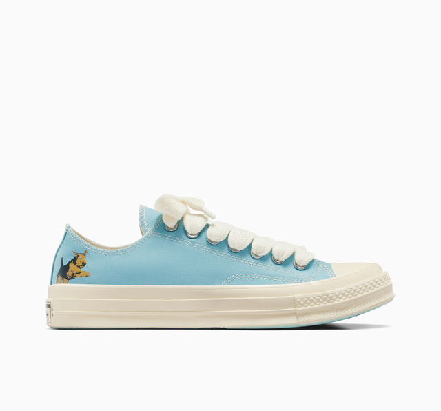 Tyler The Creator s New Converse is a Star