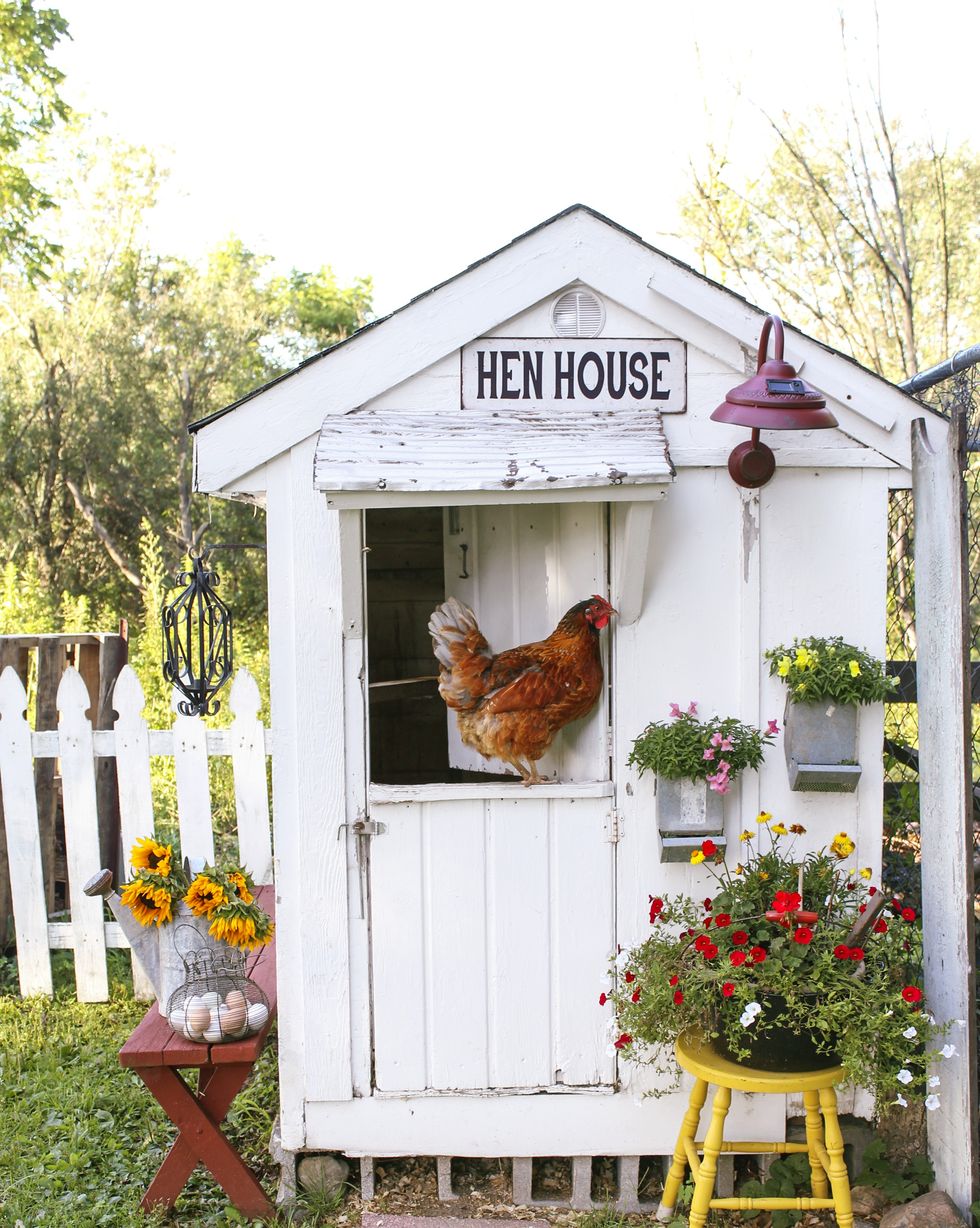 A White Farmhouse Style Chicken Coop