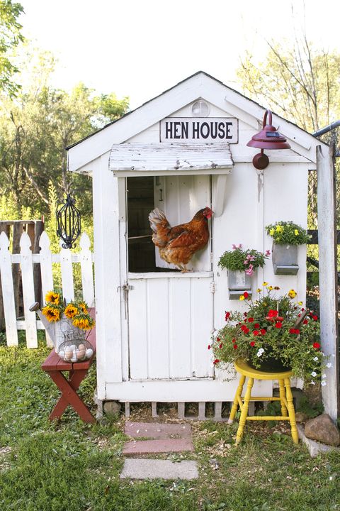 A White Farmhouse Style Chicken Coop