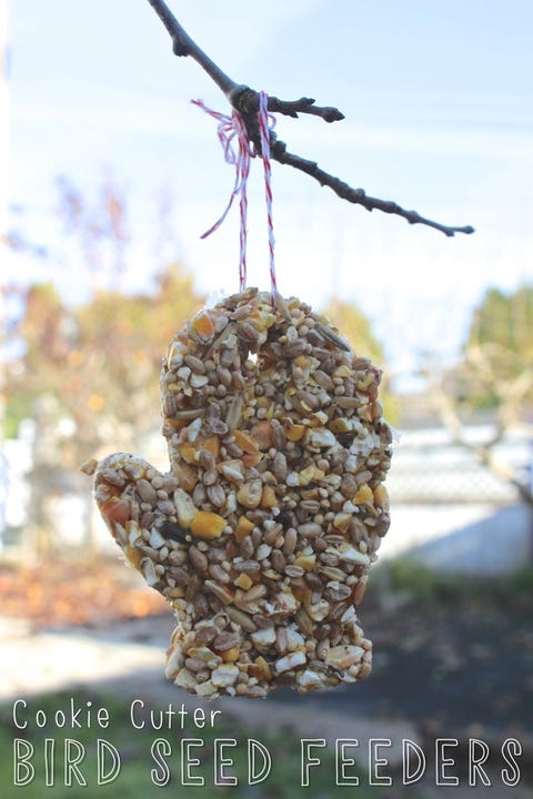 cookie cutter bird seed feeders