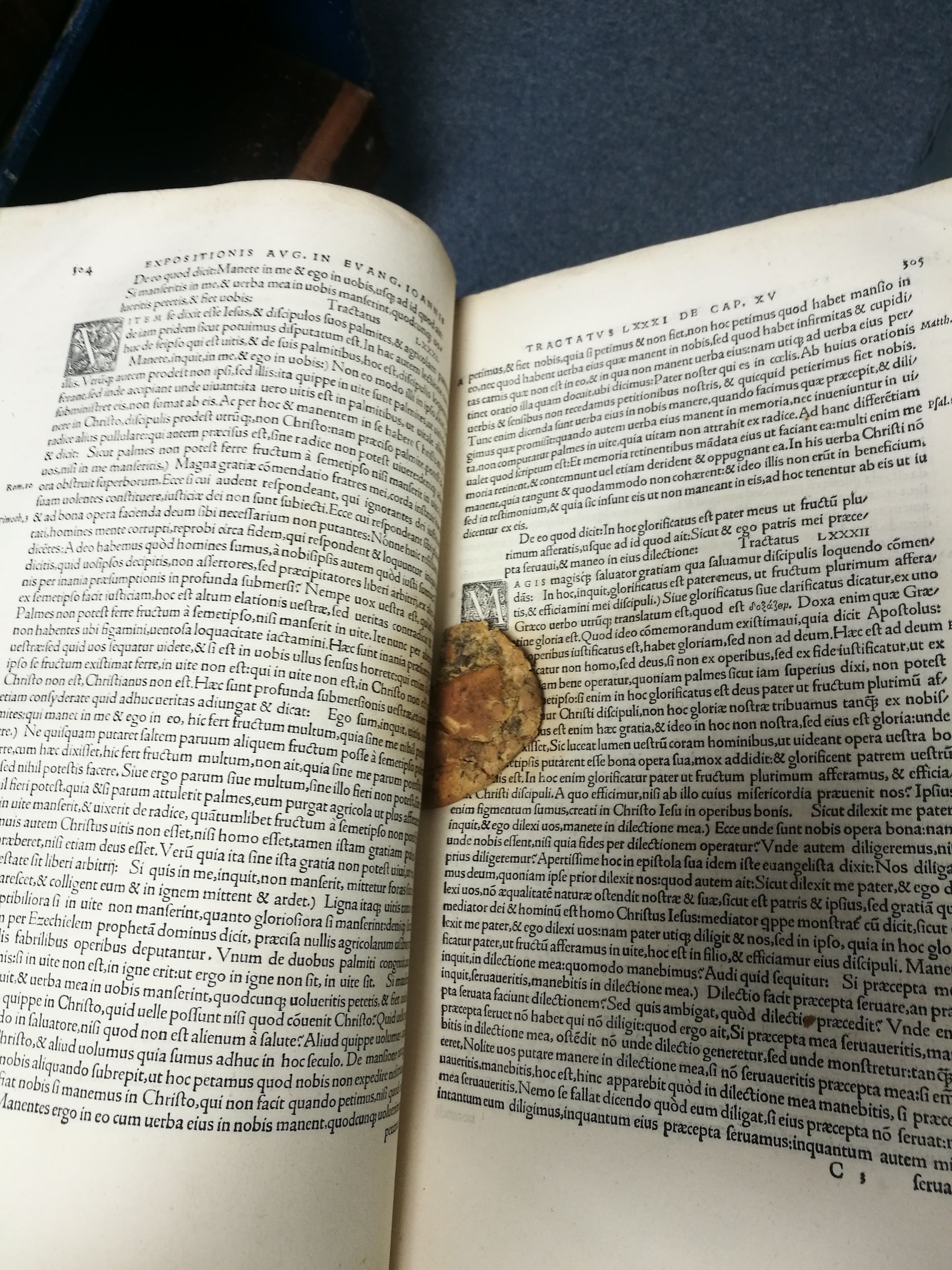 Half-Eaten Cookie Found Inside A 16th Century Book