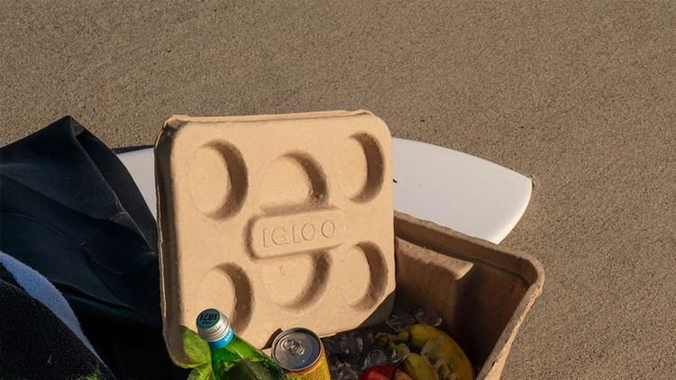 Hate Styrofoam Coolers? Igloo Launches First Biodegradable