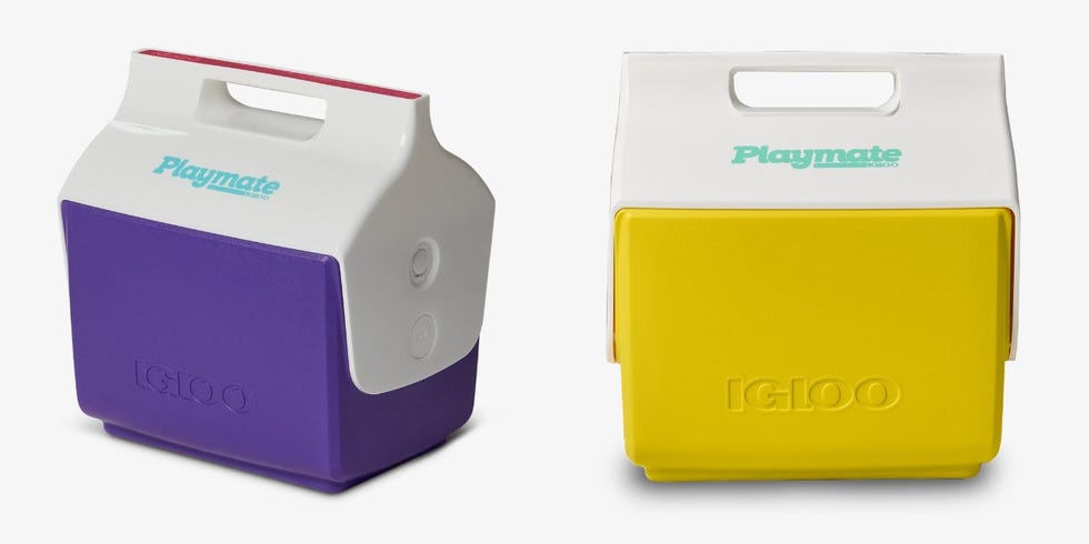 purple cooler and yellow cooler