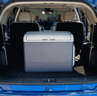 best electric coolers tested in back of suv
