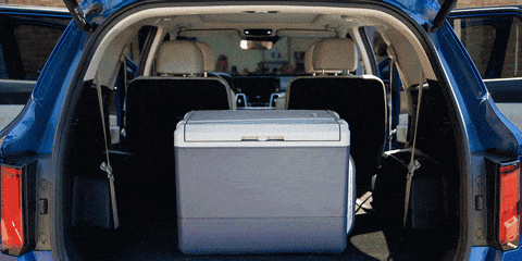 best electric coolers tested in back of suv