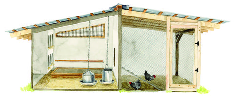 illustration of a chicken coop 