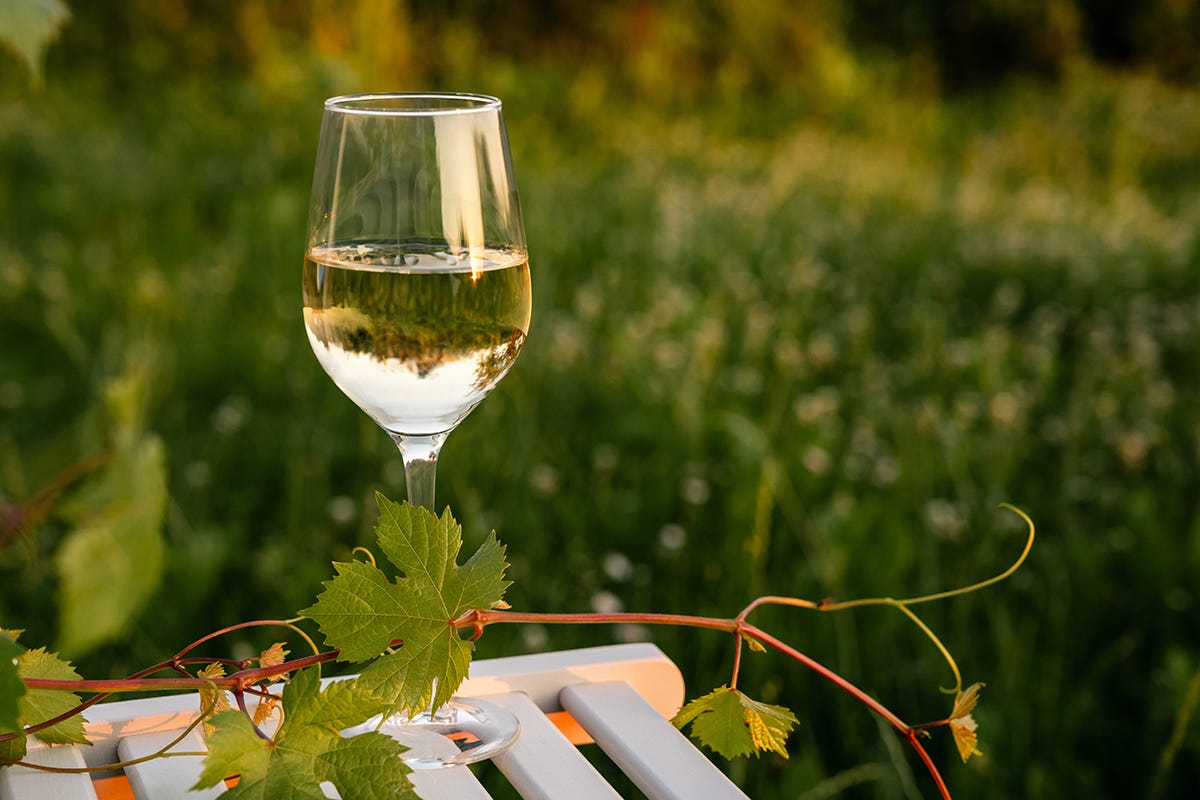 Dos vinos veganos de verdad por menos de 10 euros buenos, bonitos y baratos