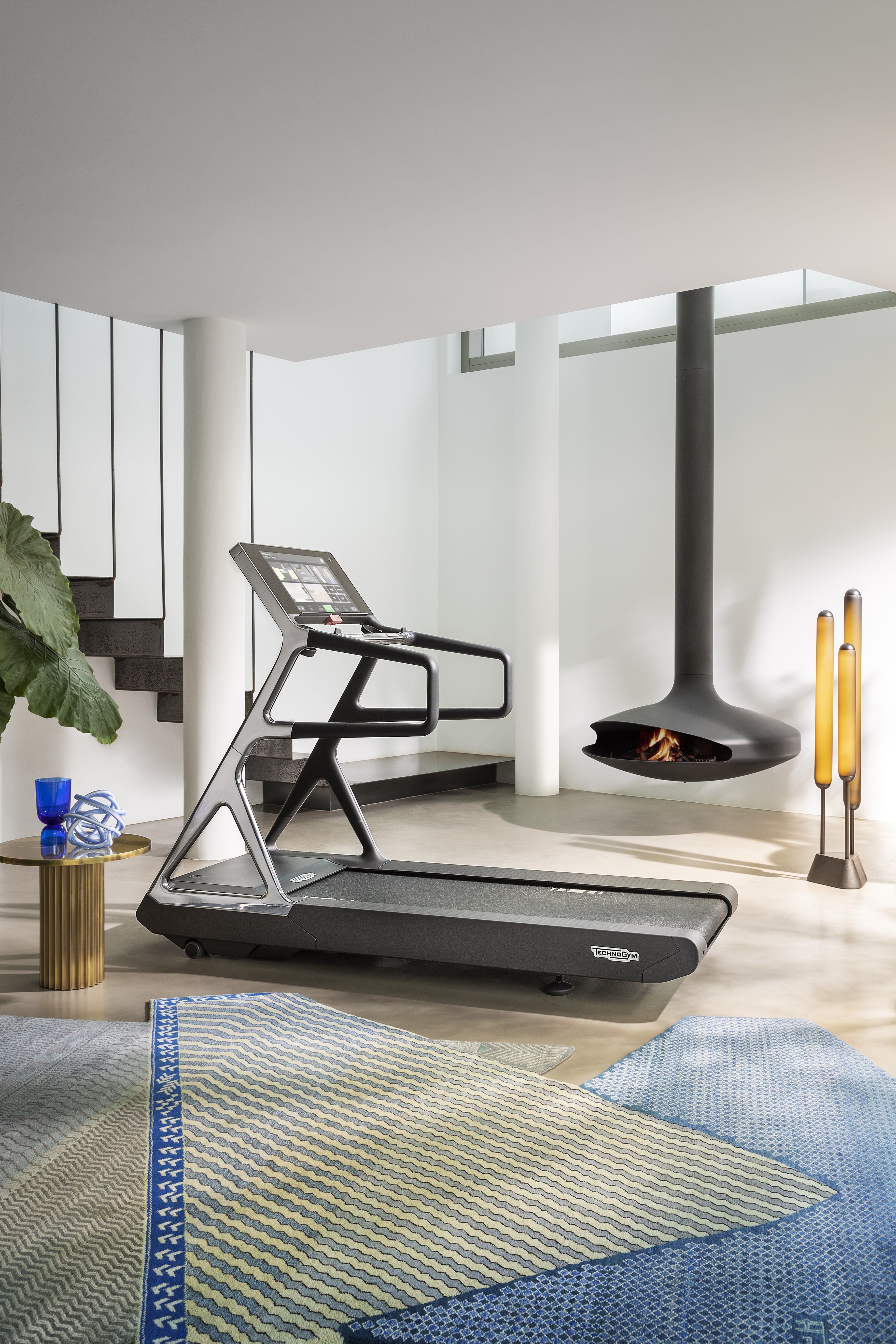 Fashion Brand Fitness Equipment : Technogym