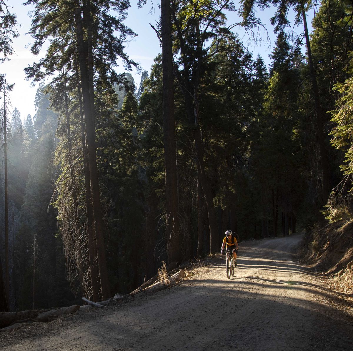 lael wilcox riding a gravel road in the sierra nevada mountains