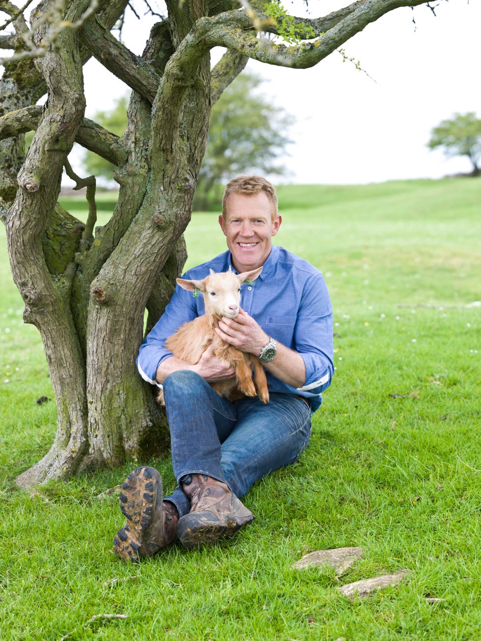 adam henson at the cotswolds farm park