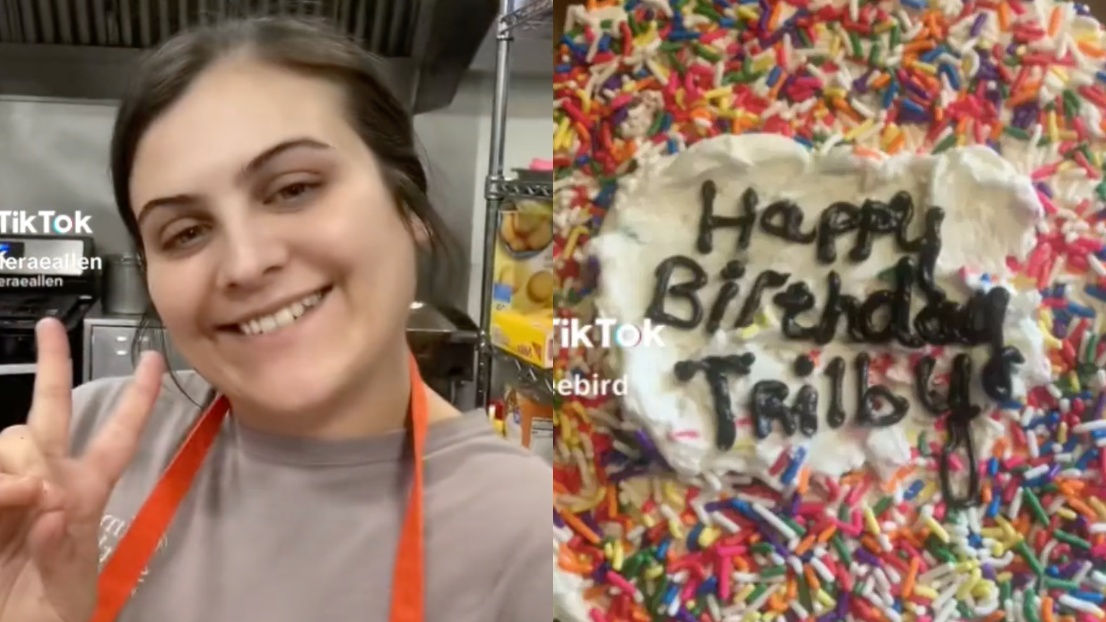 TikTok Drama Over A Rainbow-Sprinkle Birthday Cake Spirals Out Of ...