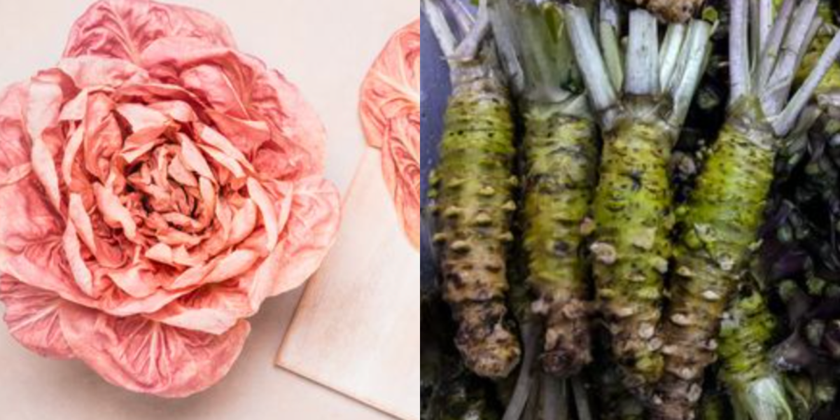 the-7-most-expensive-vegetables-in-the-world