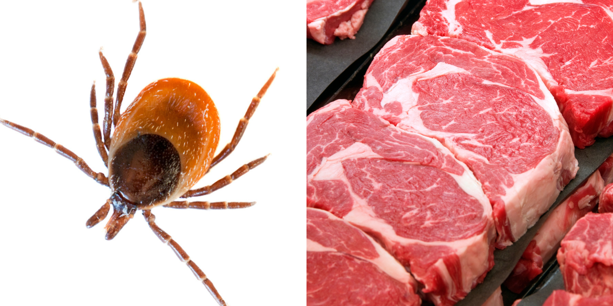 Tick Bite Induced Meat Allergy Is On The Rise According To The Cdc