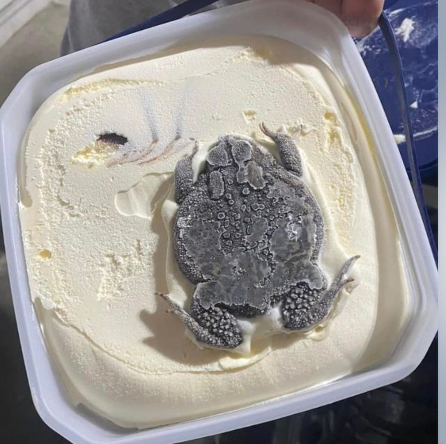 ice cream carton with toad on top next to a scoop of vanilla ice cream