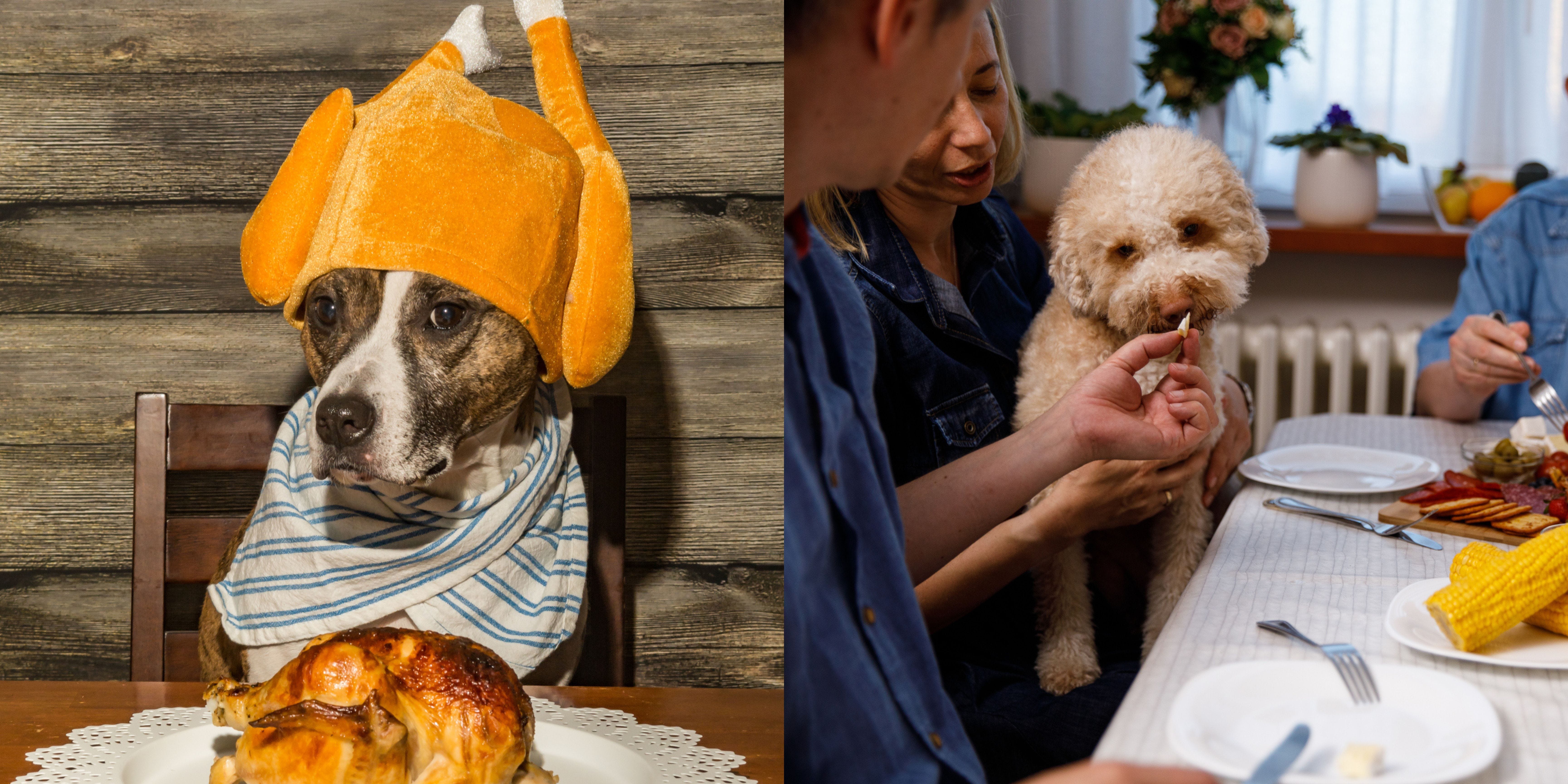 Pet Tables Are The New Kids Tables—Will You Have One This Year?