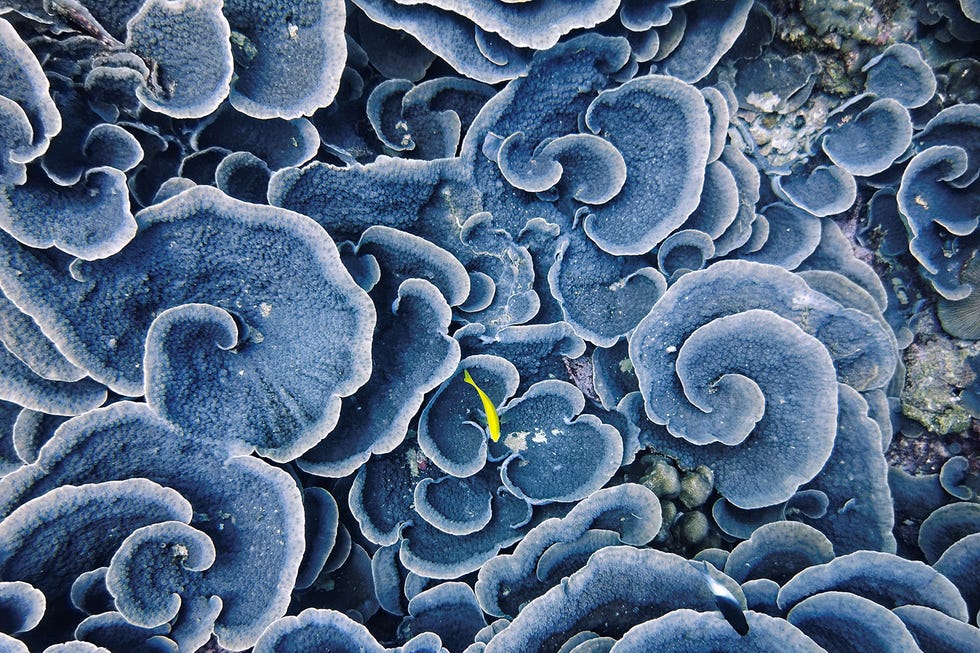 world-oceans-day