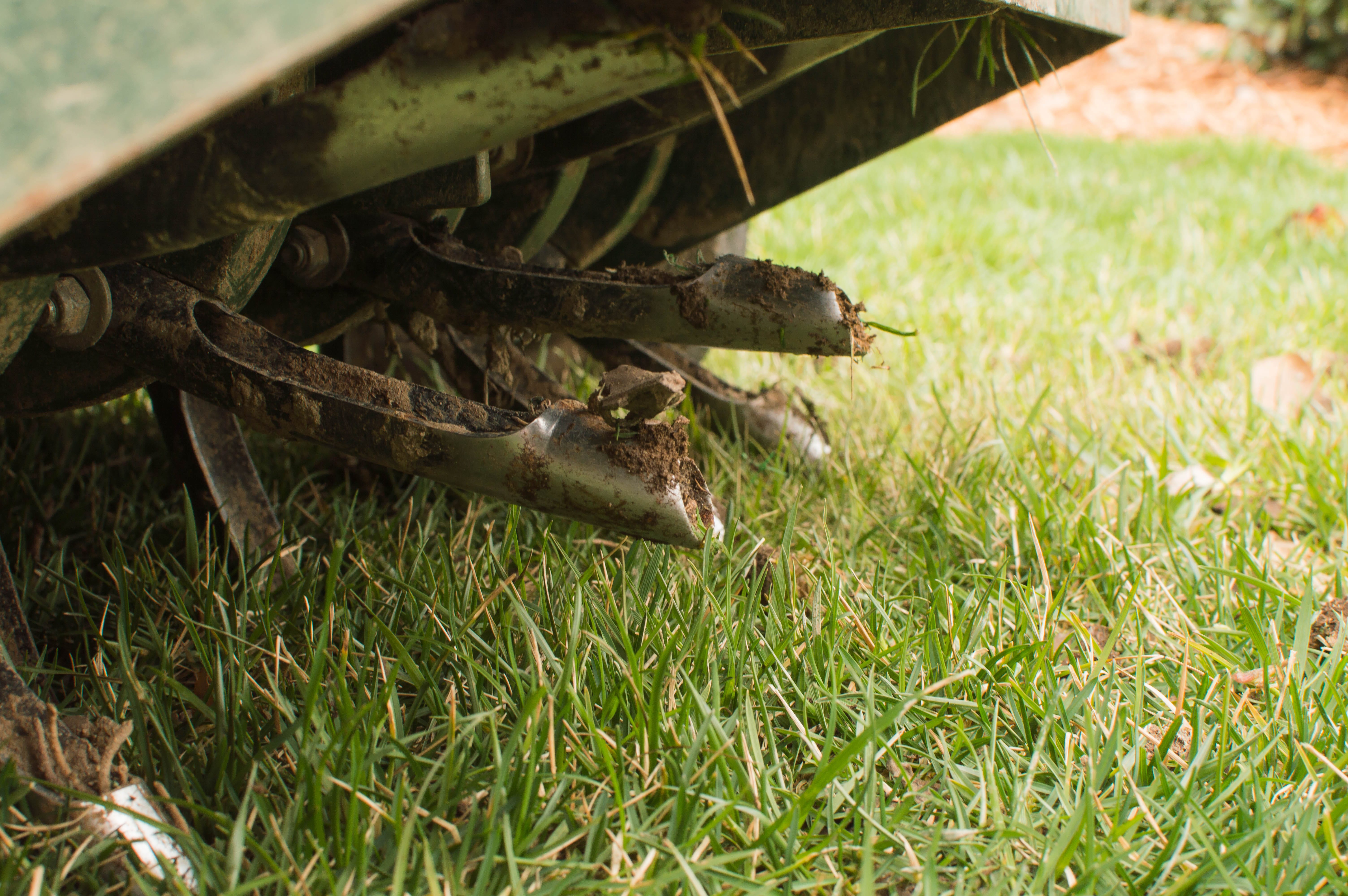 The Best Lawn Aerator May Not Be Worth Buying — But You Should Still Aerate