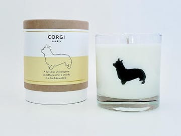 corgi dog breed candle