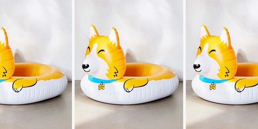 https://hips.hearstapps.com/hmg-prod/images/corgi-pool-float-1554476038.jpg?crop=0.888888888888889xw:1xh;center,top&resize=1200:*