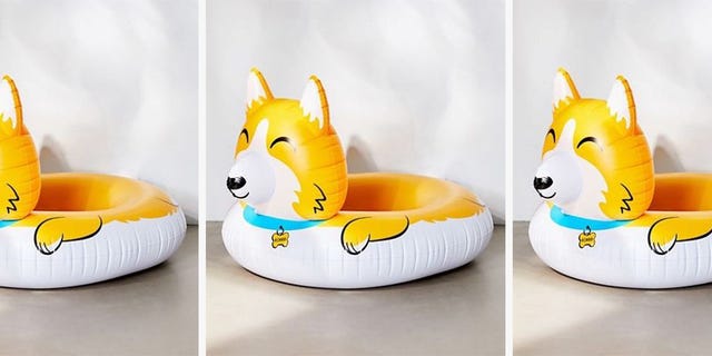 https://hips.hearstapps.com/hmg-prod/images/corgi-pool-float-1554476038.jpg?resize=640:*