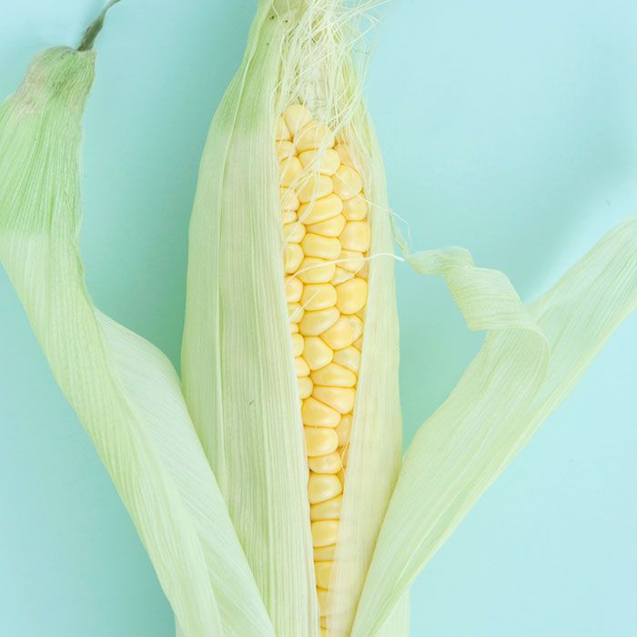 Corn on the cob, Sweet corn, Corn kernels, Corn on the cob, Corn, Vegetarian food, Plant, Food grain, Anthurium, Plant pathology, 