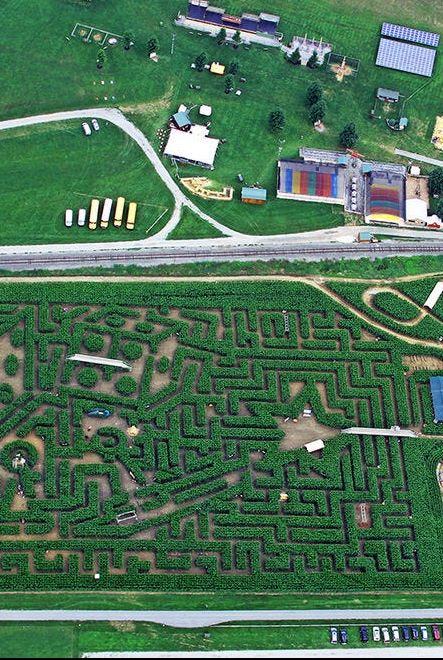 best corn maze