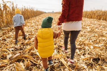 best corn mazes in us