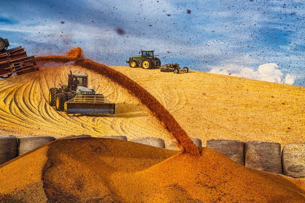 Met onweerswolken op de achtergrond wordt een reusachtige berg mas op een voederplaats bij Imperial Nebraska door tractoren gecompacteerd Bijna alle mas in de VS wordt behandeld met neonicotinoden
