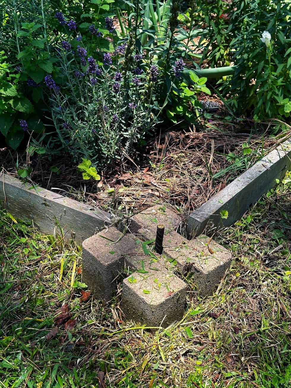 a corner block of a raised garden bed in my back yard