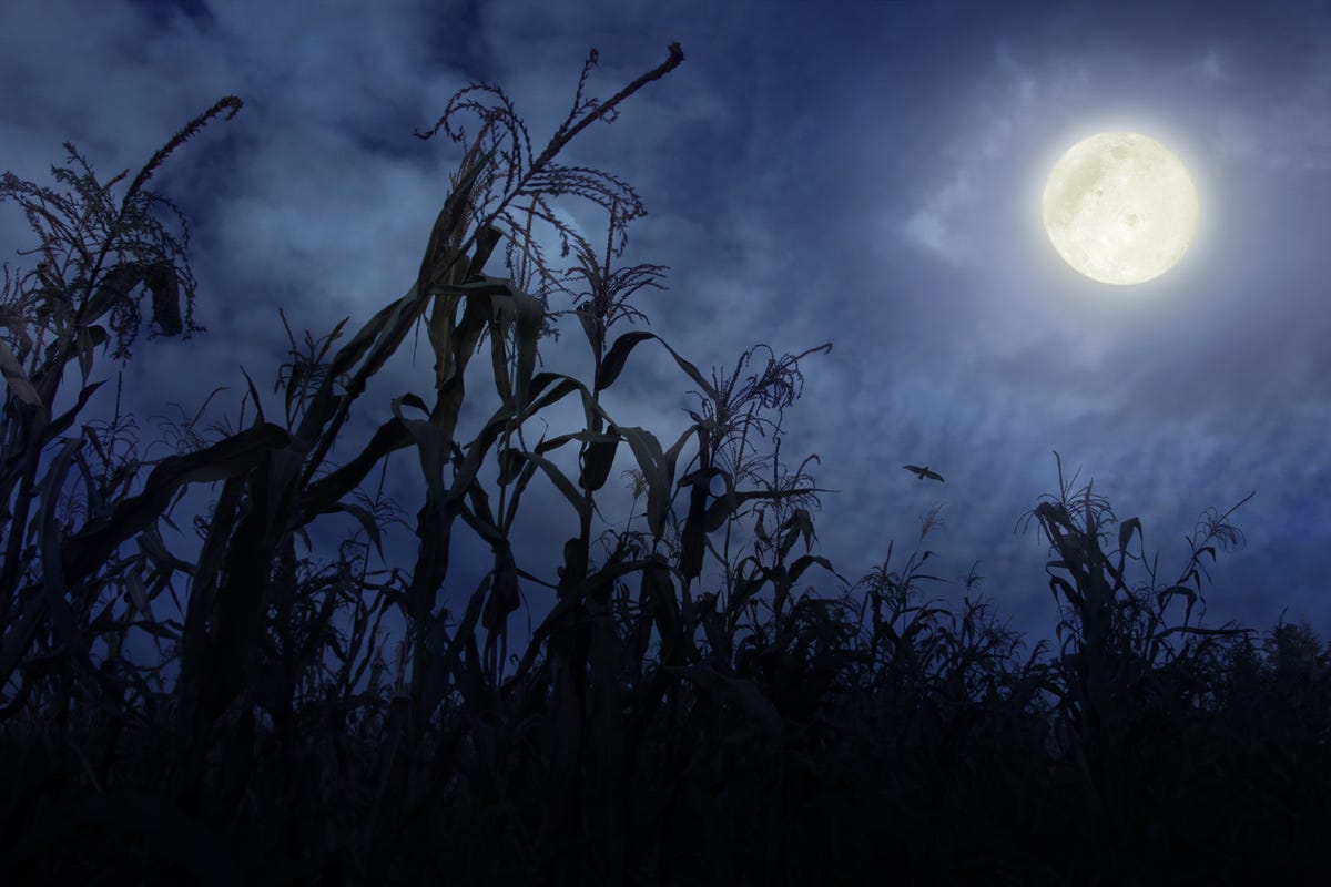 When and How to See September’s Full Corn Moon in 2020