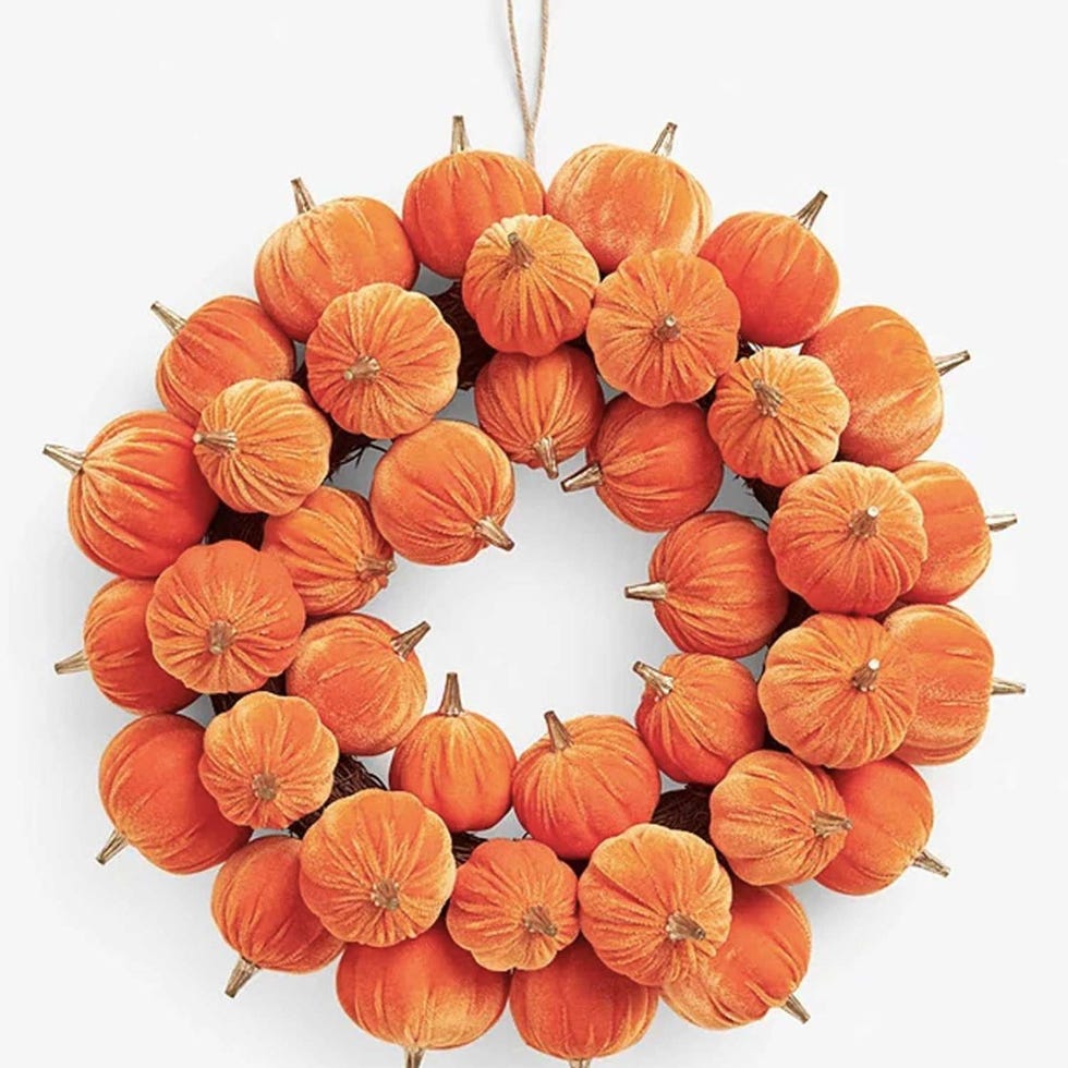 con calabazas de terciopelo