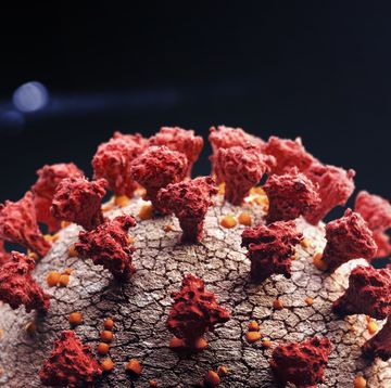 corona virus close up