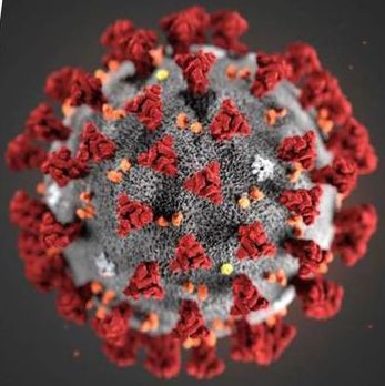 facts about the coronavirus