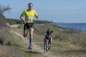 correre corsa cane