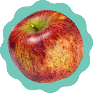apple ilustration