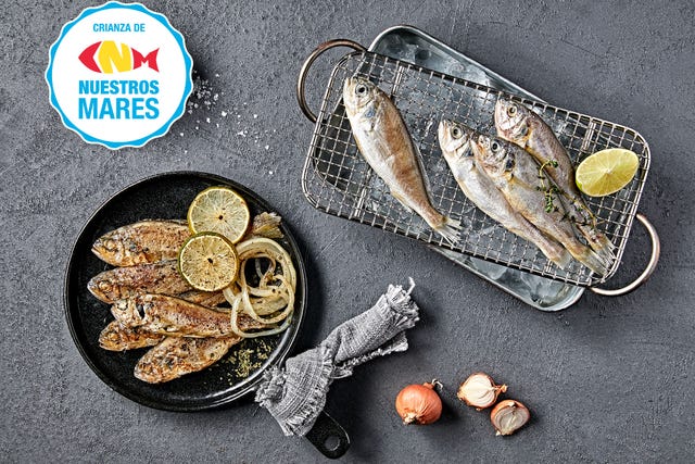 ejemplares de corvina crudos y cocinados a la parrilla
