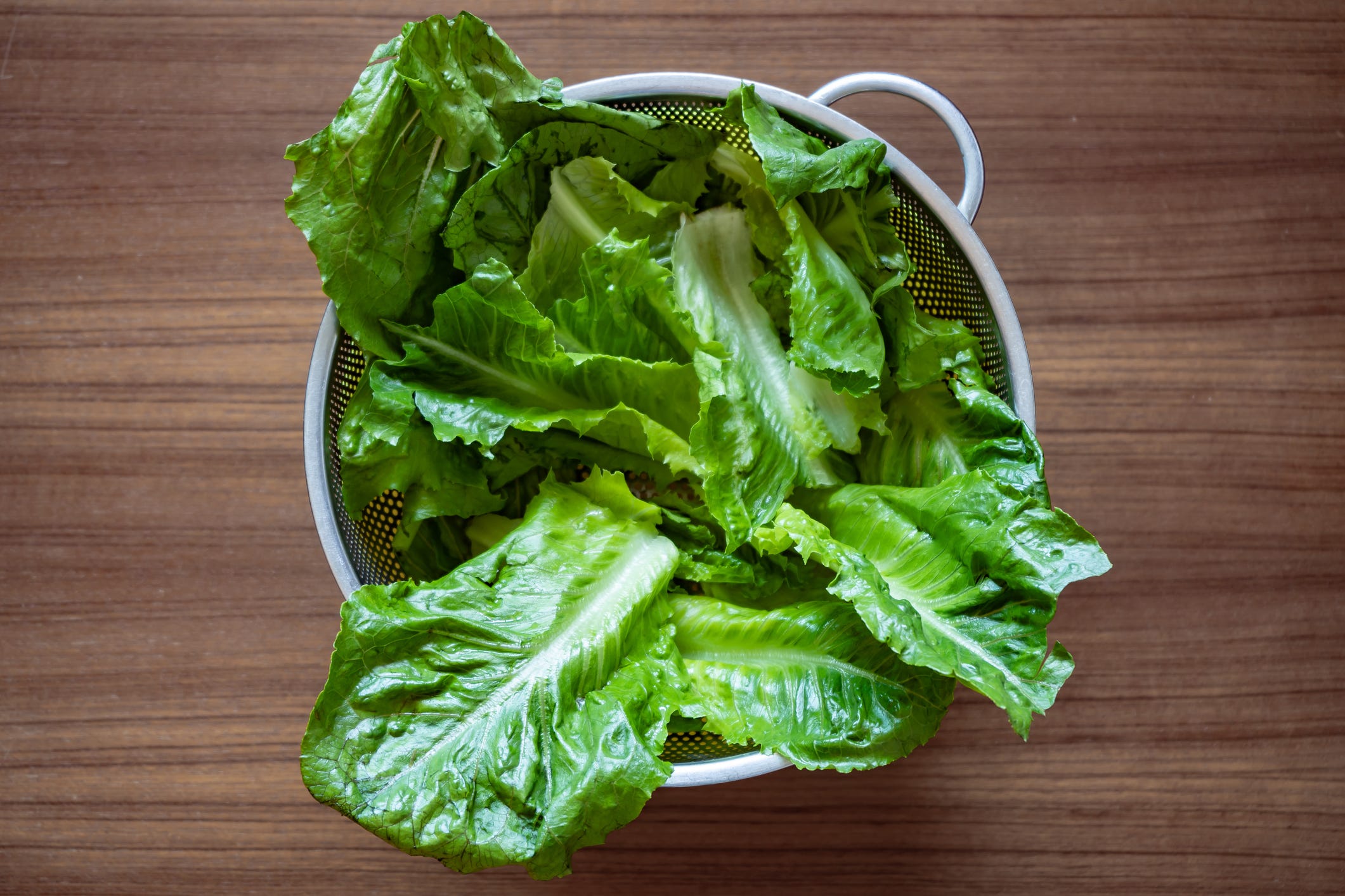 lechuga