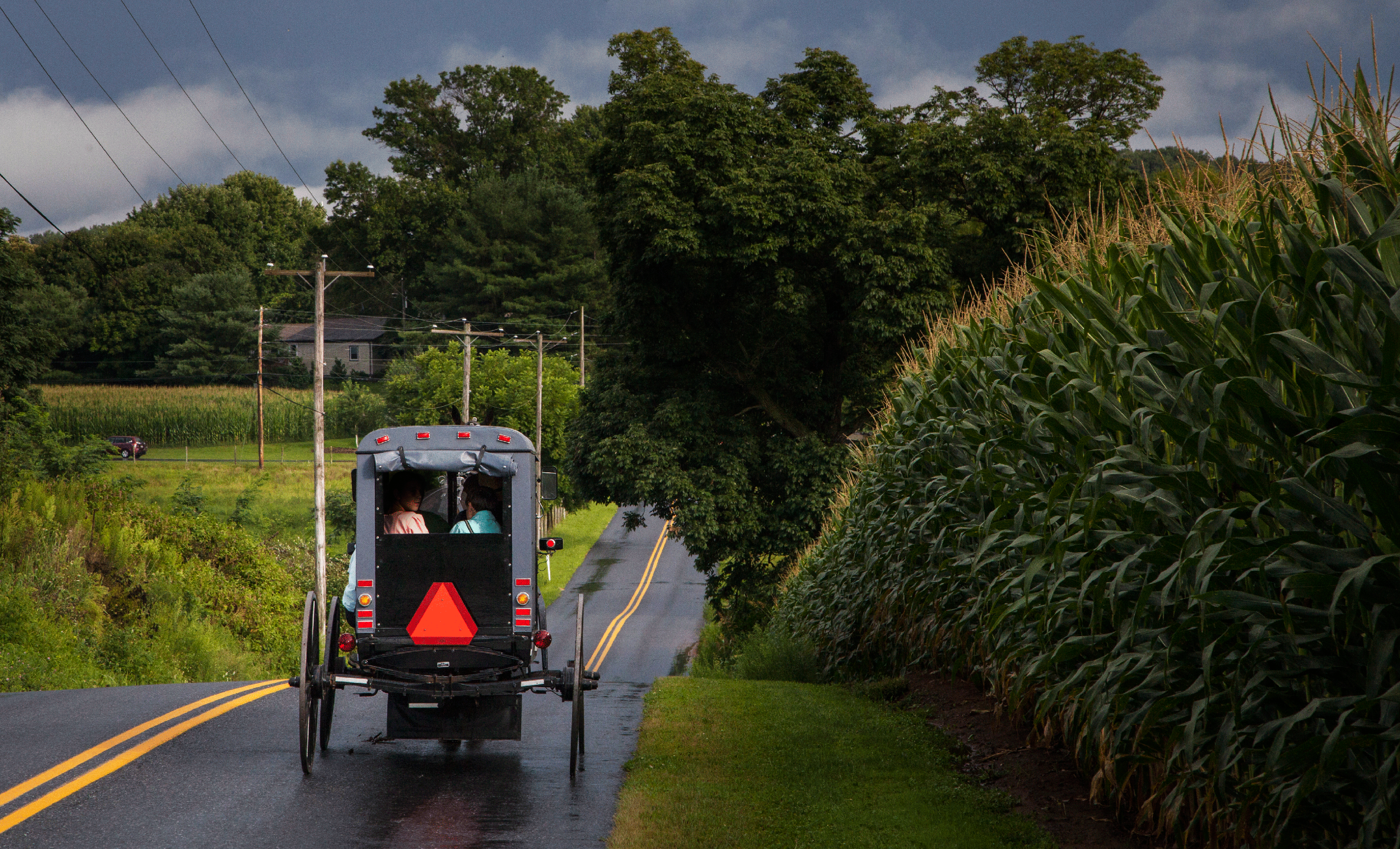 Sex Abuse Crisis in Amish Country picture photo