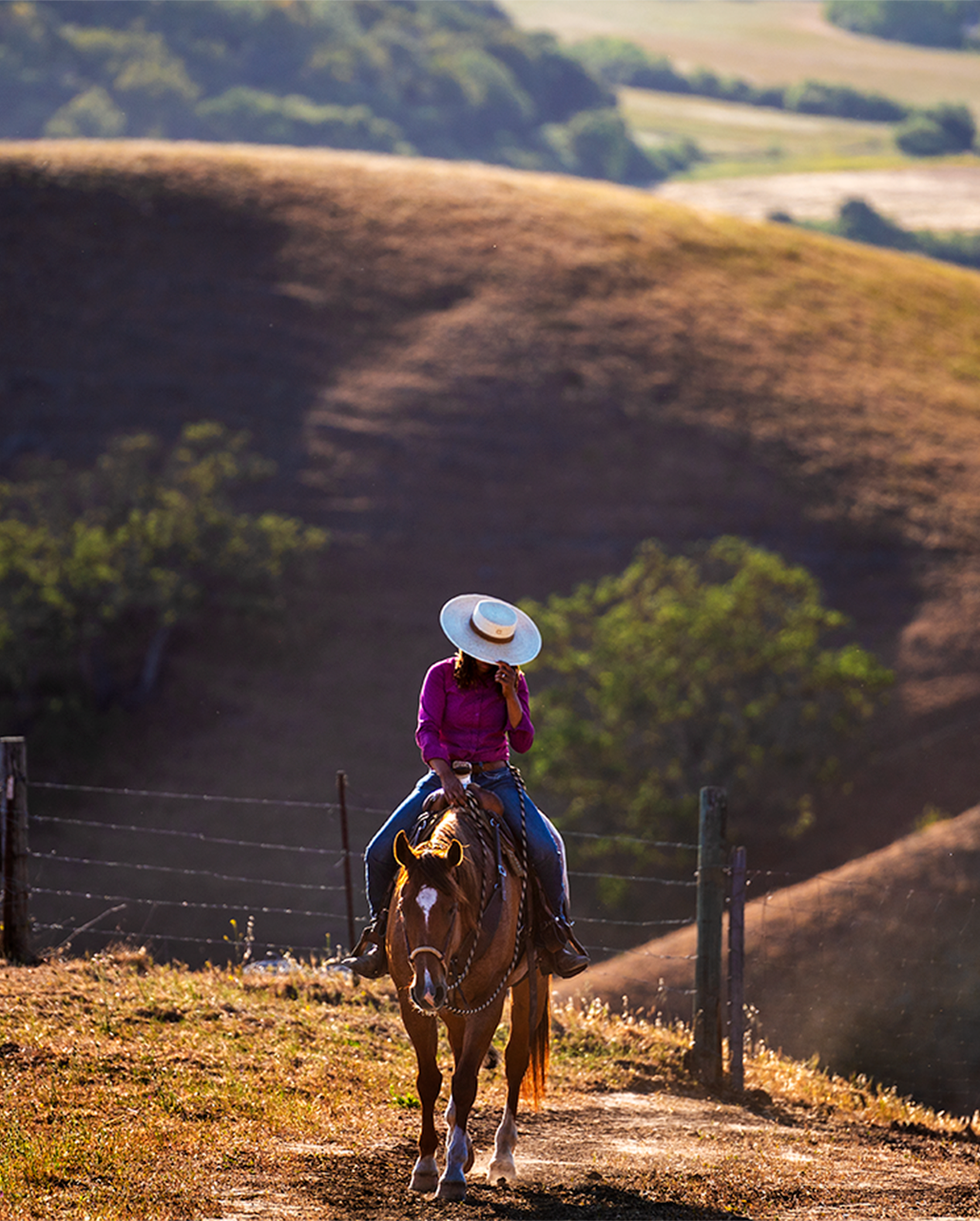brianna noble on horseback on a hillside