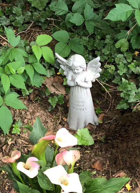 Angel, Statue, Lawn ornament, Leaf, Ivy, Botany, Plant, Fictional character, Supernatural creature, Flower, 