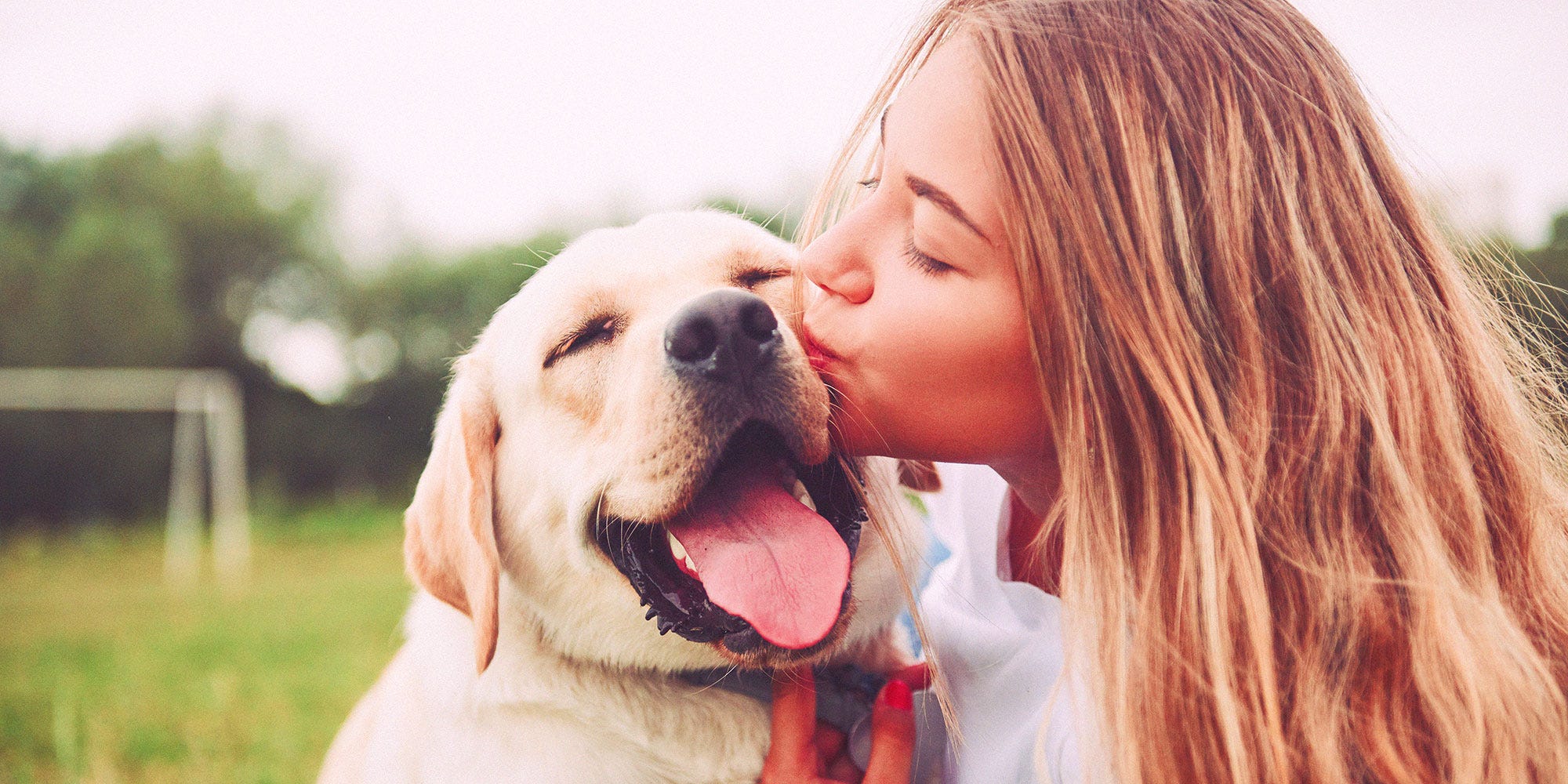 Cosa fare a casa se non dipingere quadri con il tuo cane?