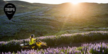 a person riding a yellow vehicle in a field of purple flowers